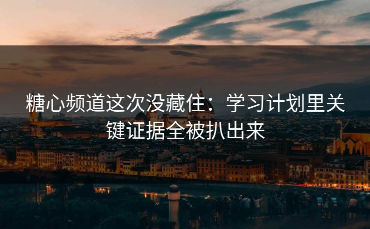糖心频道这次没藏住：学习计划里关键证据全被扒出来