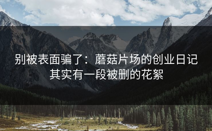 别被表面骗了：蘑菇片场的创业日记其实有一段被删的花絮