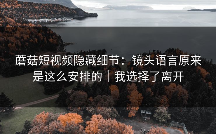 蘑菇短视频隐藏细节：镜头语言原来是这么安排的｜我选择了离开