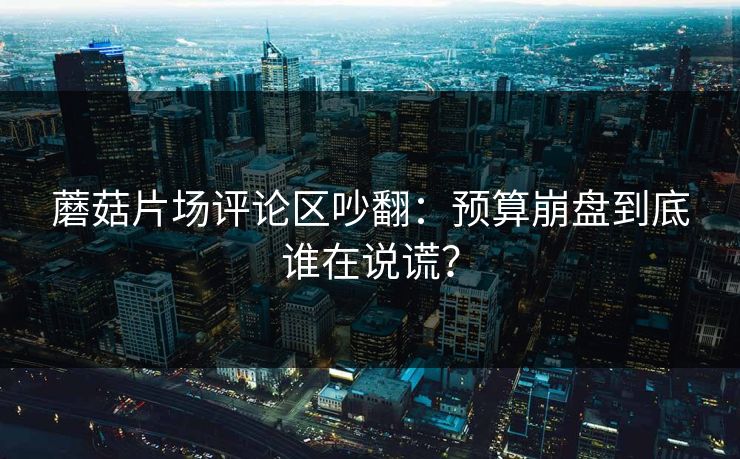 蘑菇片场评论区吵翻：预算崩盘到底谁在说谎？