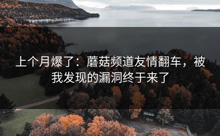 上个月爆了：蘑菇频道友情翻车，被我发现的漏洞终于来了
