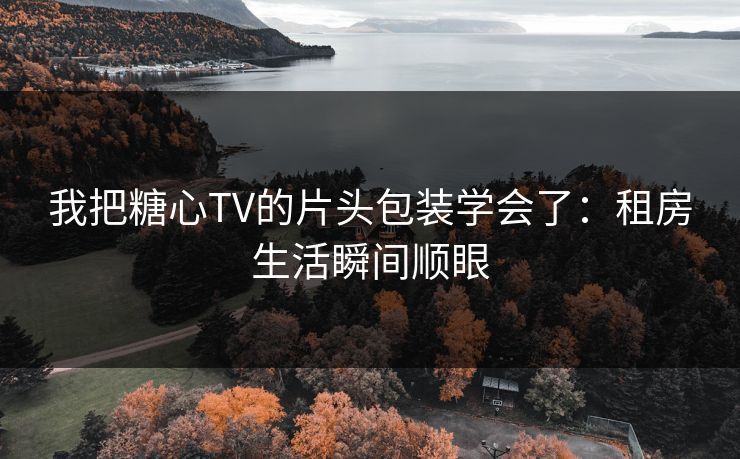 我把糖心TV的片头包装学会了：租房生活瞬间顺眼