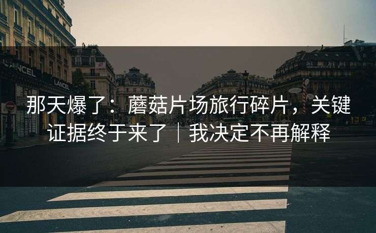 那天爆了：蘑菇片场旅行碎片，关键证据终于来了｜我决定不再解释
