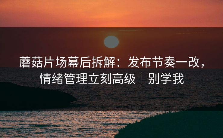 蘑菇片场幕后拆解：发布节奏一改，情绪管理立刻高级｜别学我