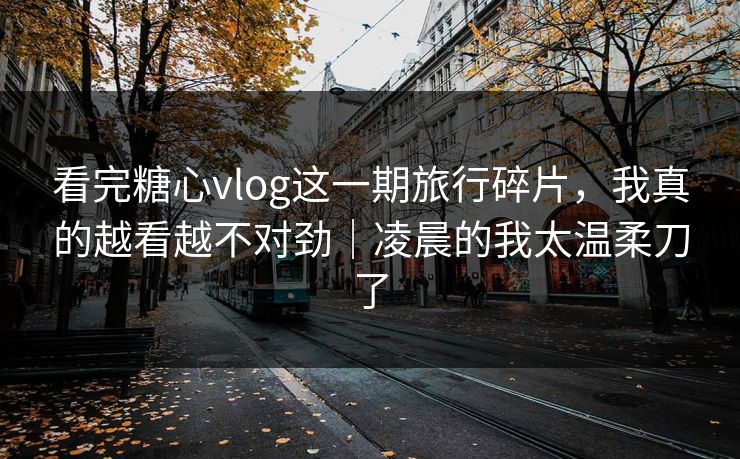 看完糖心vlog这一期旅行碎片，我真的越看越不对劲｜凌晨的我太温柔刀了