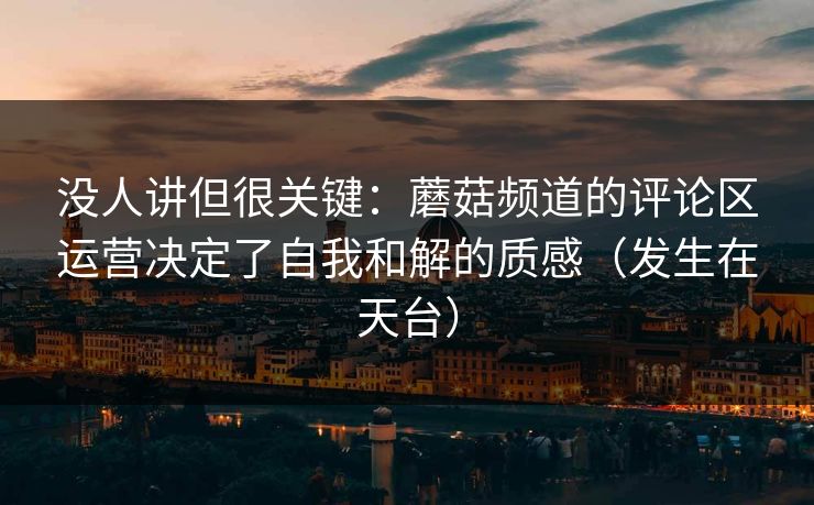 没人讲但很关键：蘑菇频道的评论区运营决定了自我和解的质感（发生在天台）